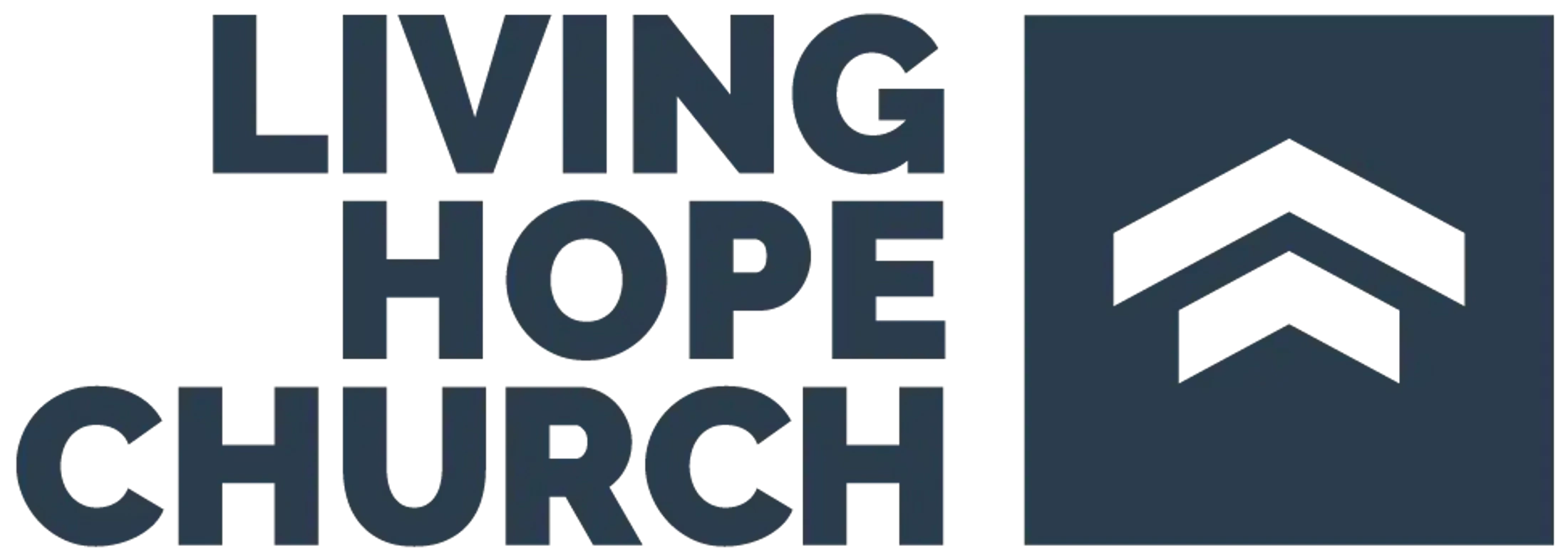 Main Logo