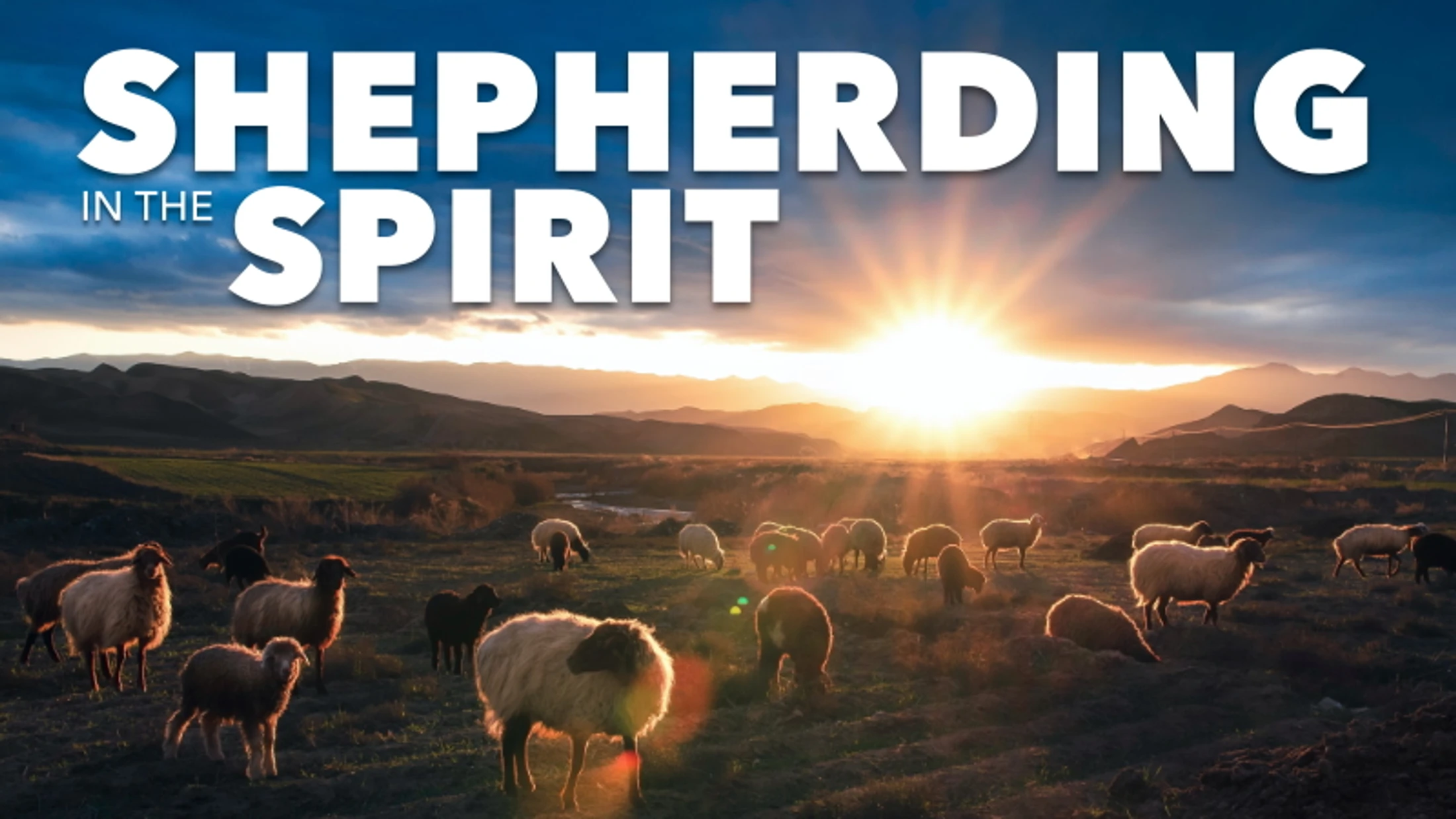 Spirit-Filled Shepherds Look Out for the Overlooked