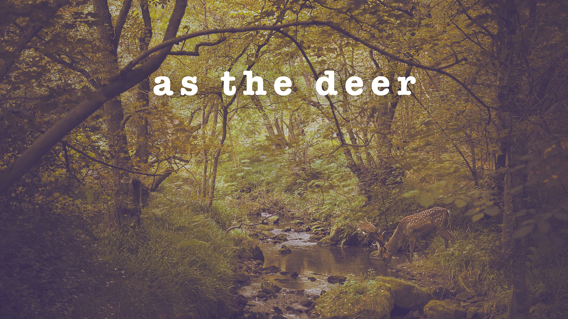As the Deer