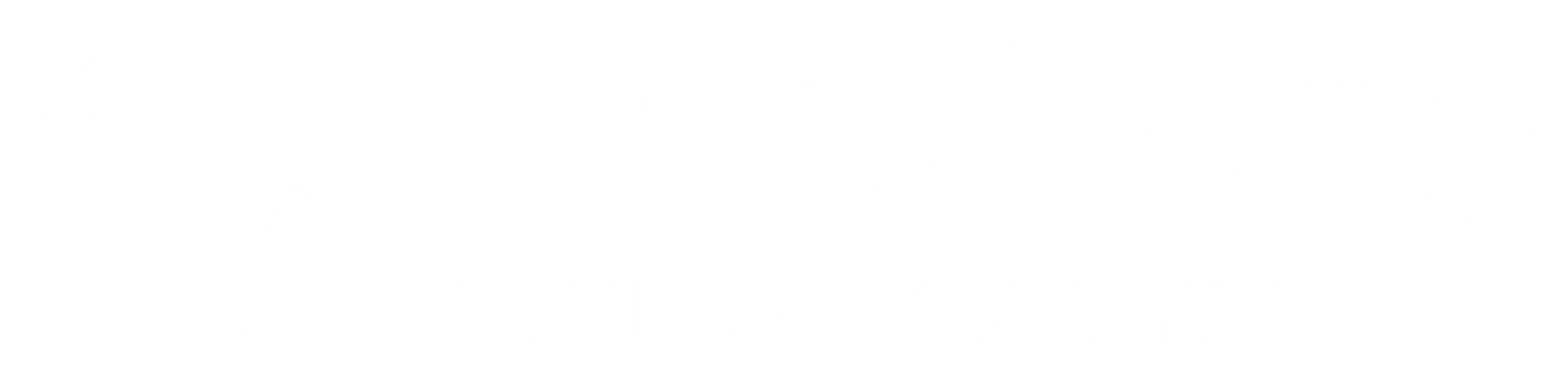 Main Logo