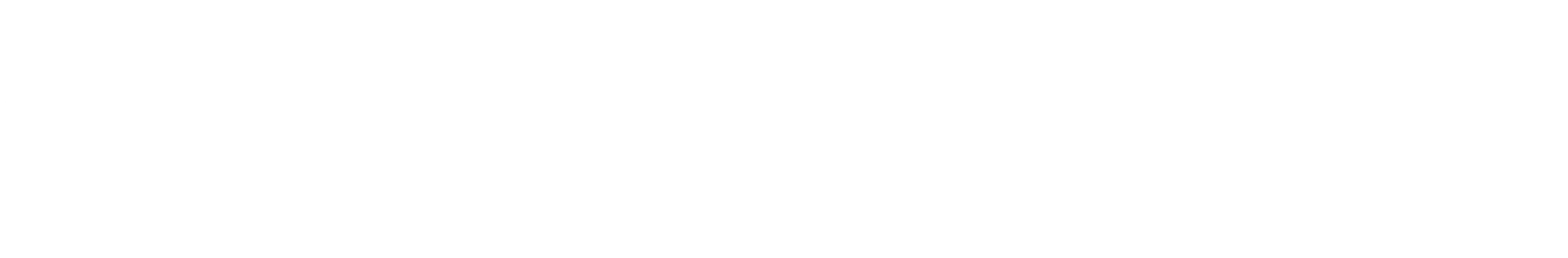 Main Logo