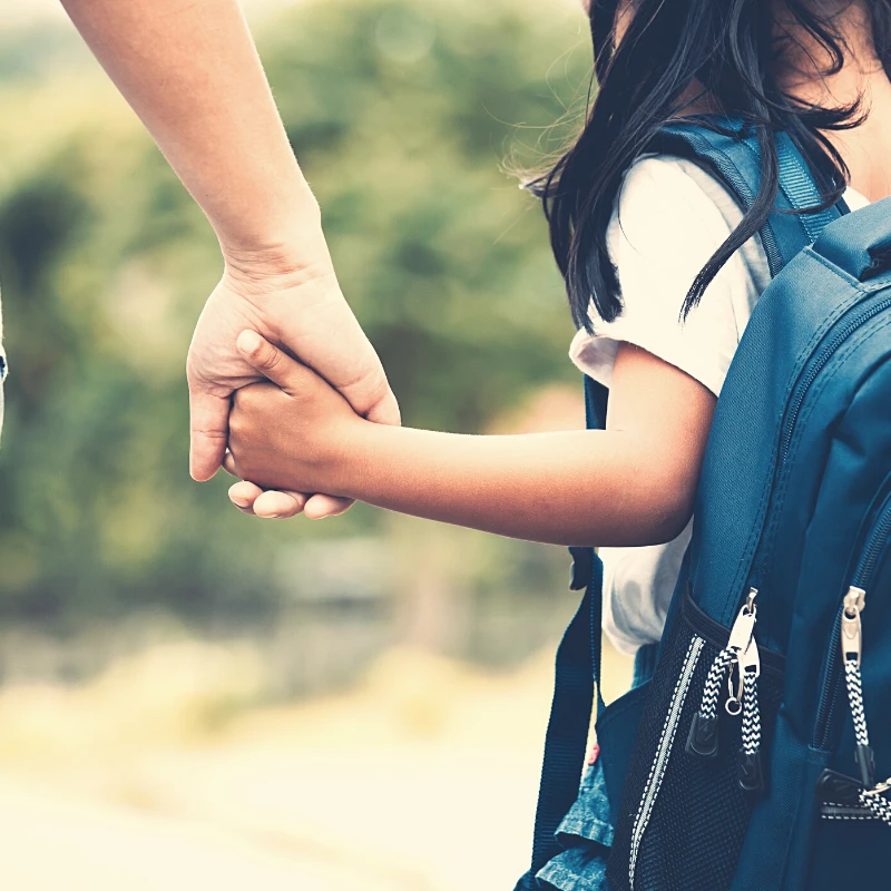 School Partnerships