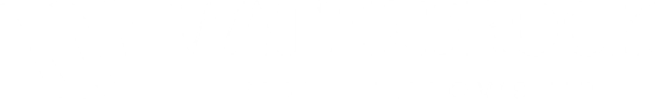 Main Logo