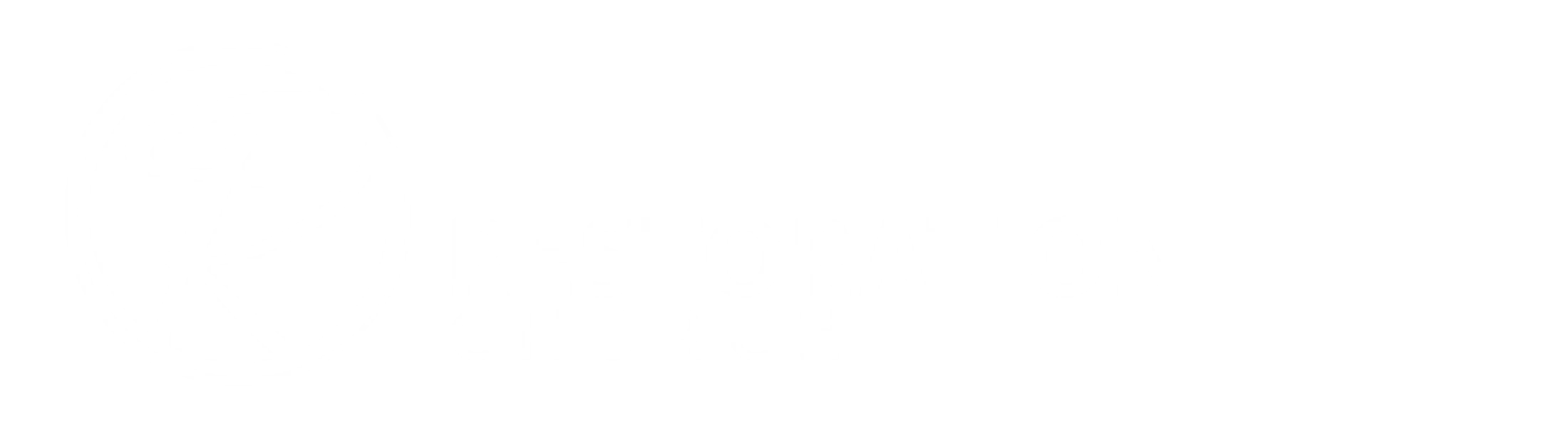 Main Logo