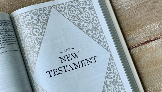 New Testament in a Year&nbsp;&nbsp;