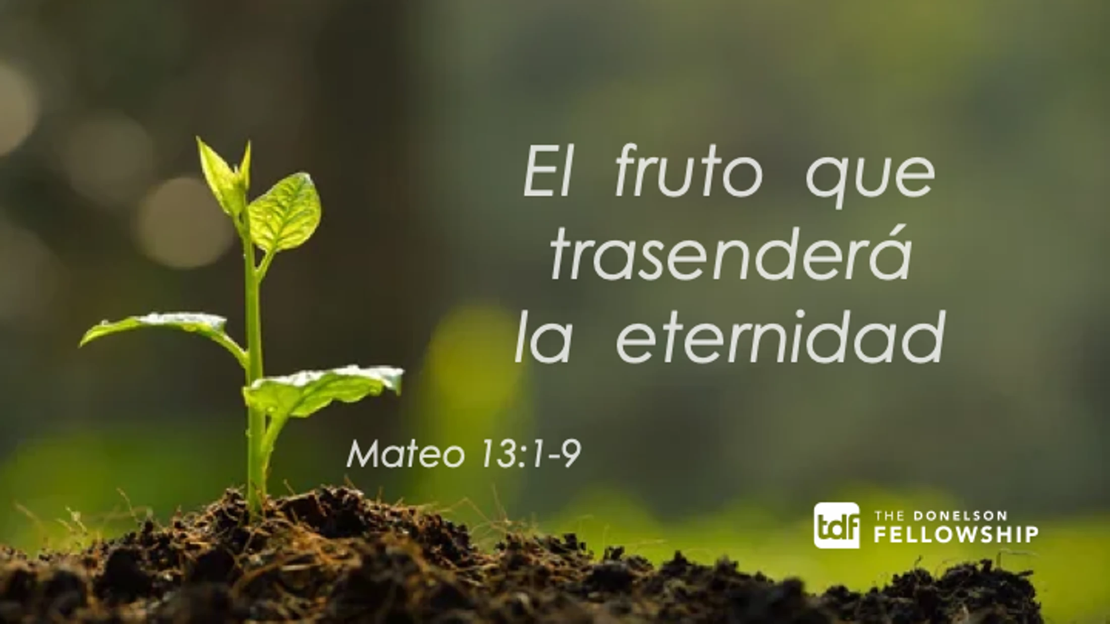 El fruto que trascenderá la eternidad