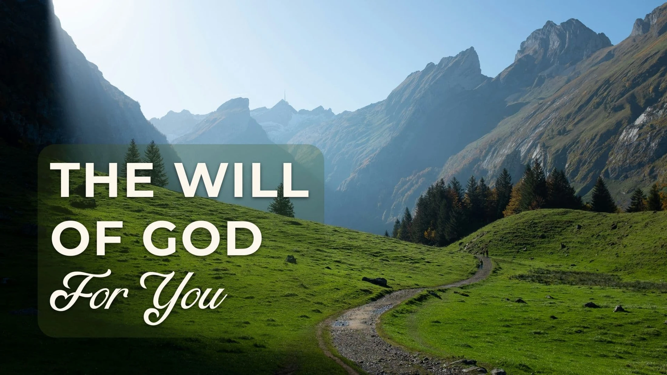 The Will of God for You