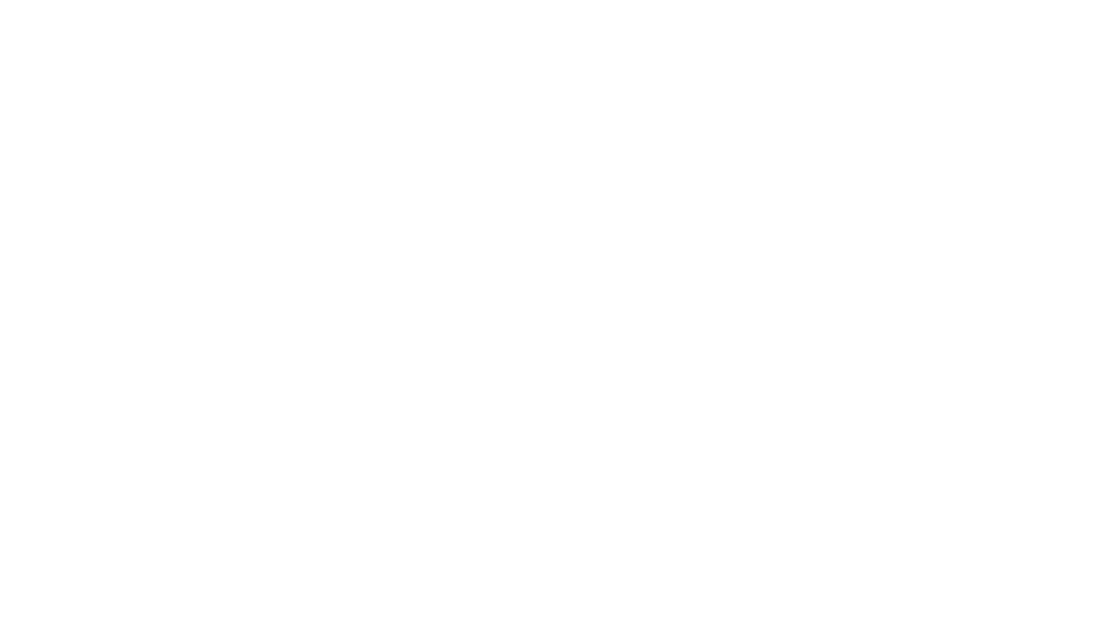 Main Logo