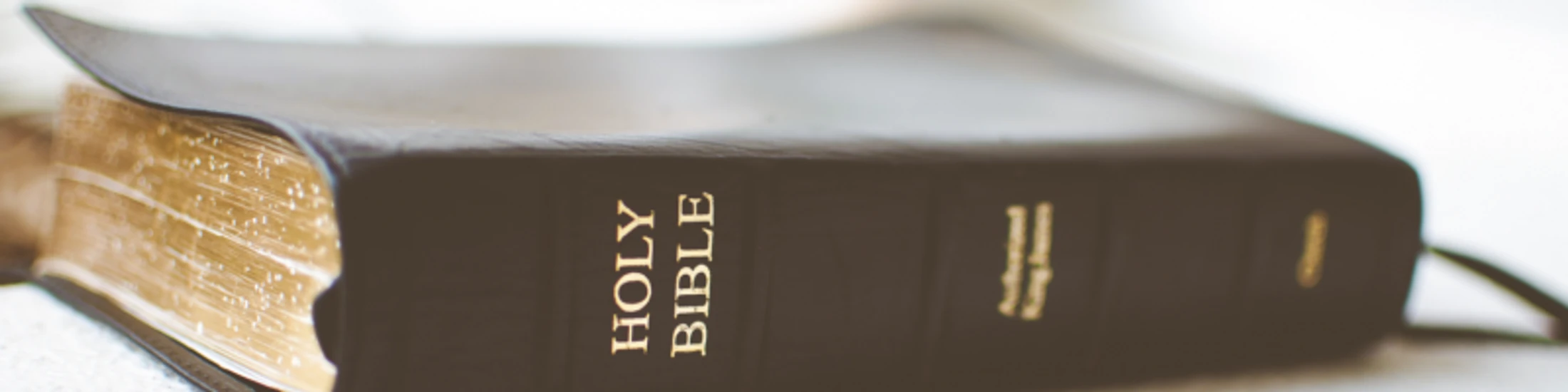 Genesis 32
