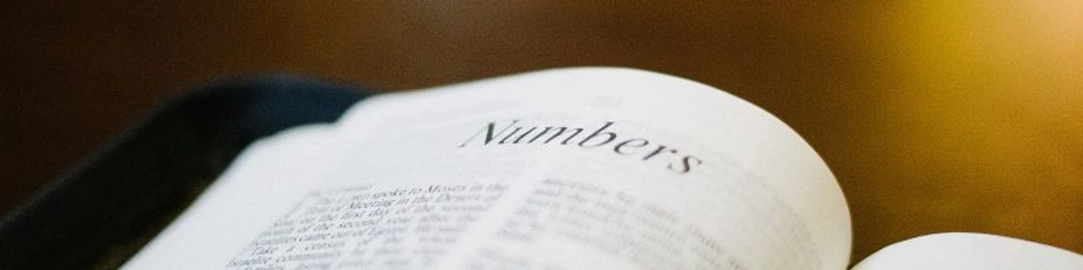 Numbers 16