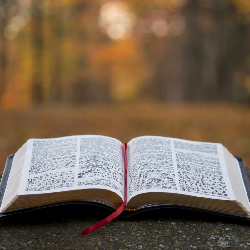 <span style="color:var(--primary-color-bg)">Saved by Grace Through Faith</span>
