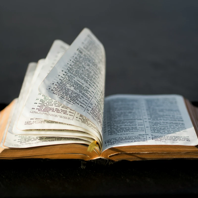 <span style="color:var(--primary-color-bg)">God's Word Is Our Foundation</span>
