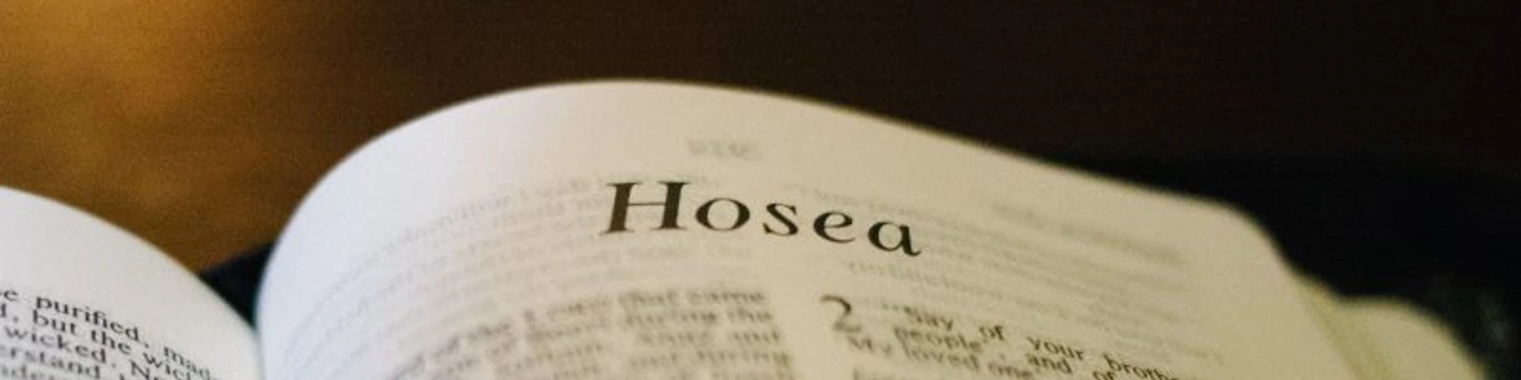 Hosea 12:1 - 14    08/18/2026