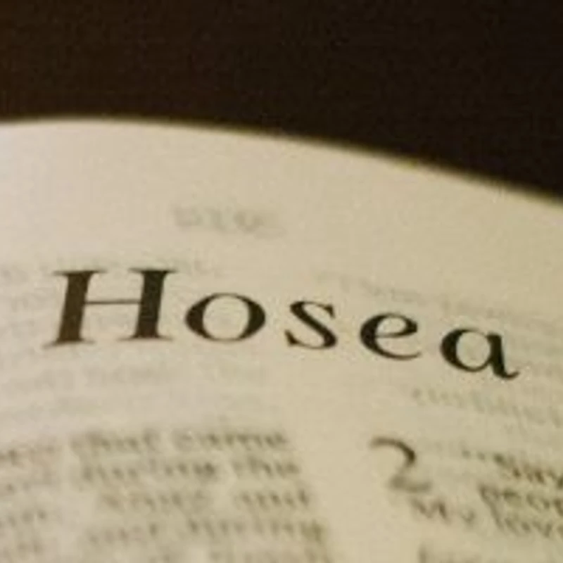 Hosea 14:1-9     08/25/2026