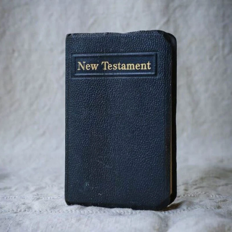 New Testament Reading