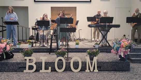 <span style="color:var(--primary-color-bg)">Spring Bloom Conference</span>