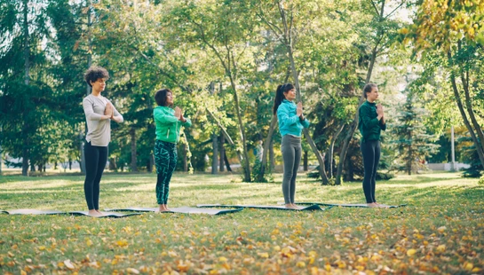 <span style="color:var(--primary-color-bg)">Weekly Exercise Classes</span>