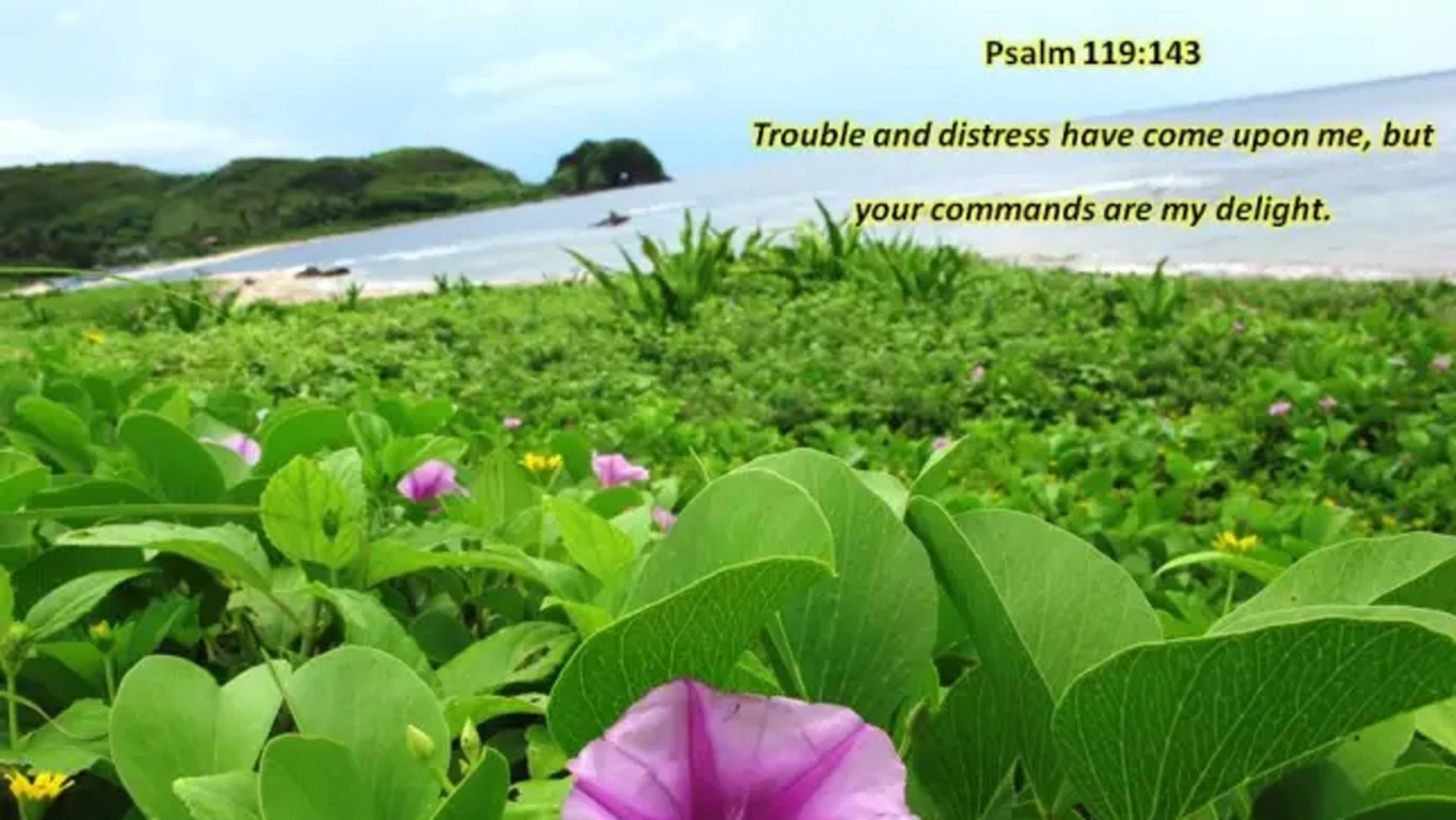 Verse of the  Day - September 3