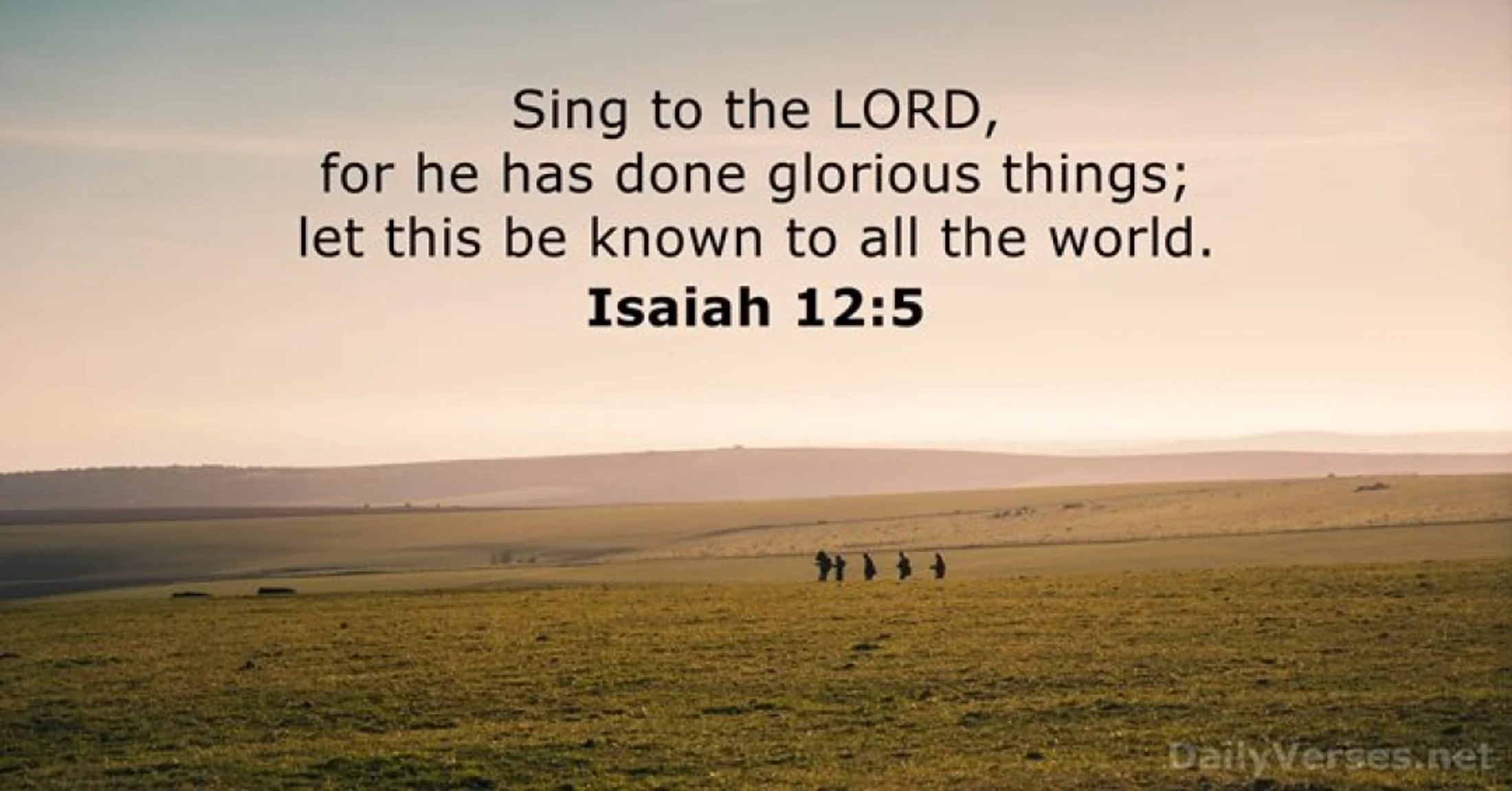 Verse of the Day - August 2