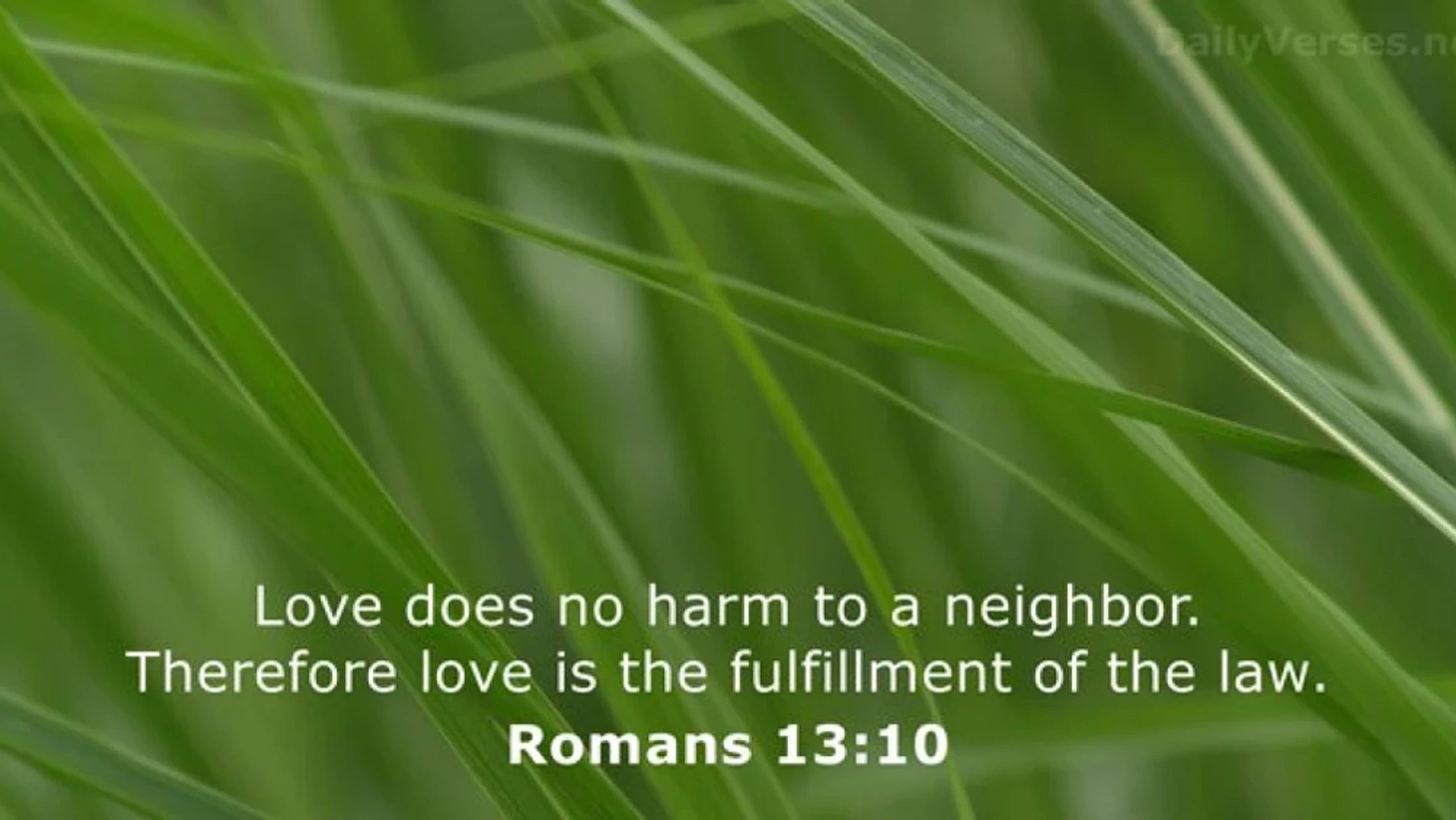 Verse of the Day - August 11