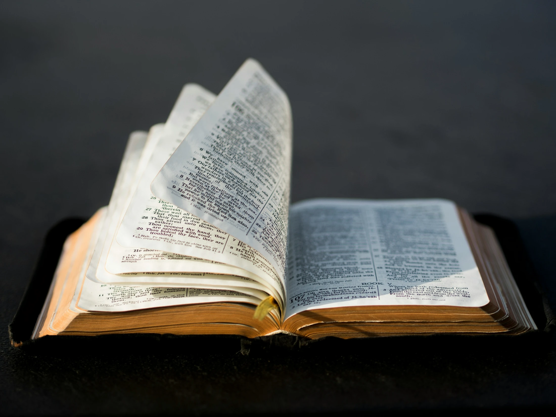 20 Encouraging Bible Verses to Lift Your Spirit