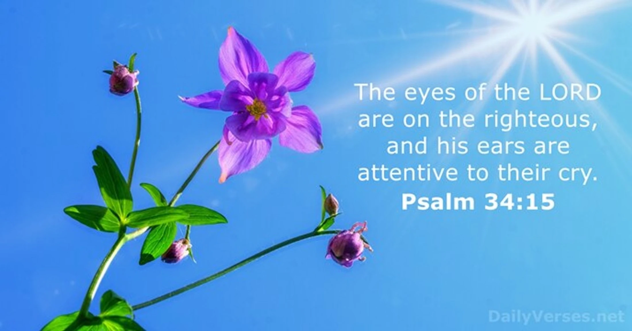 Verse of the  Day - September 2