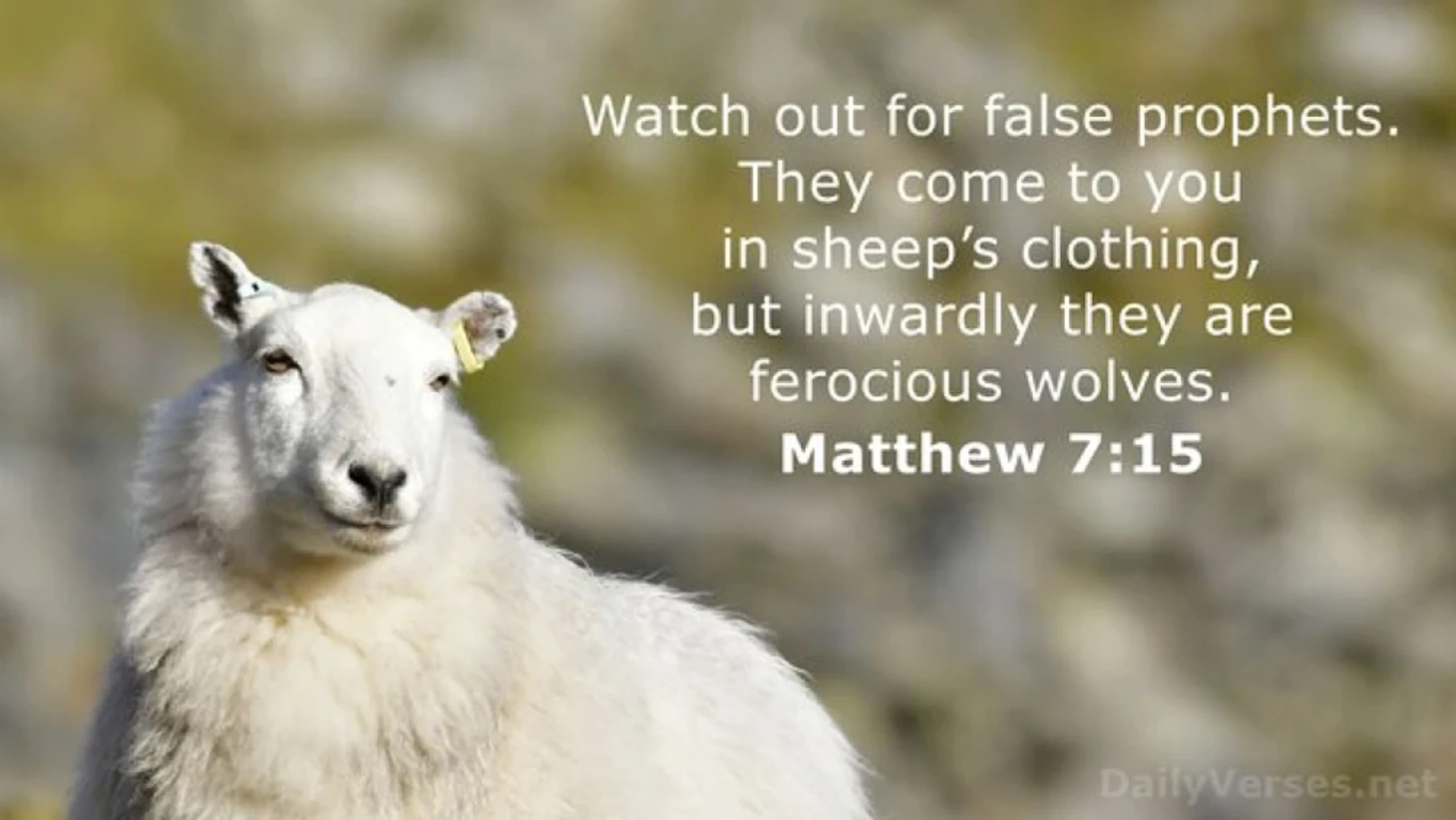 Verse of the Day - August 7