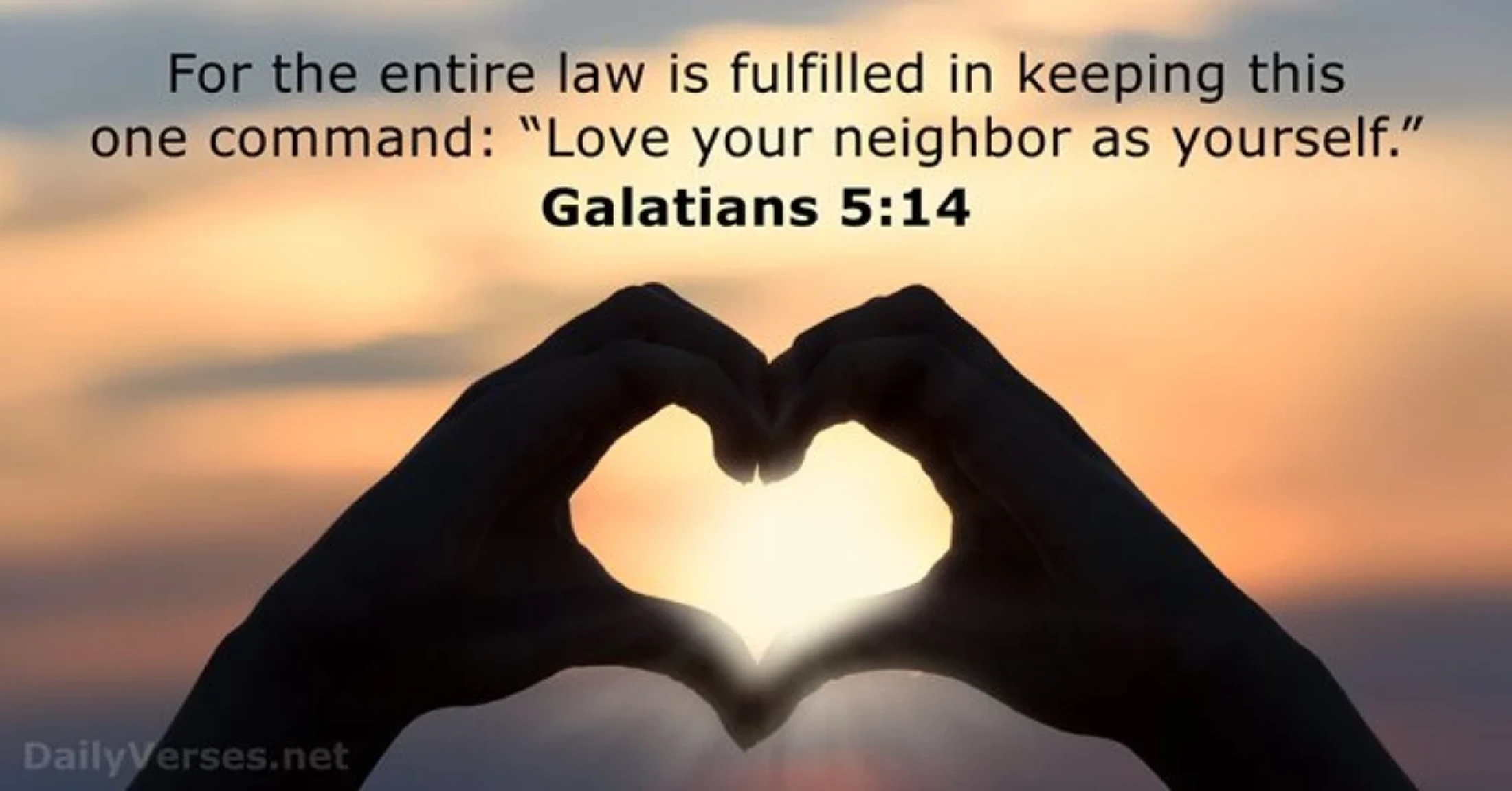Verse of the Day - August 14