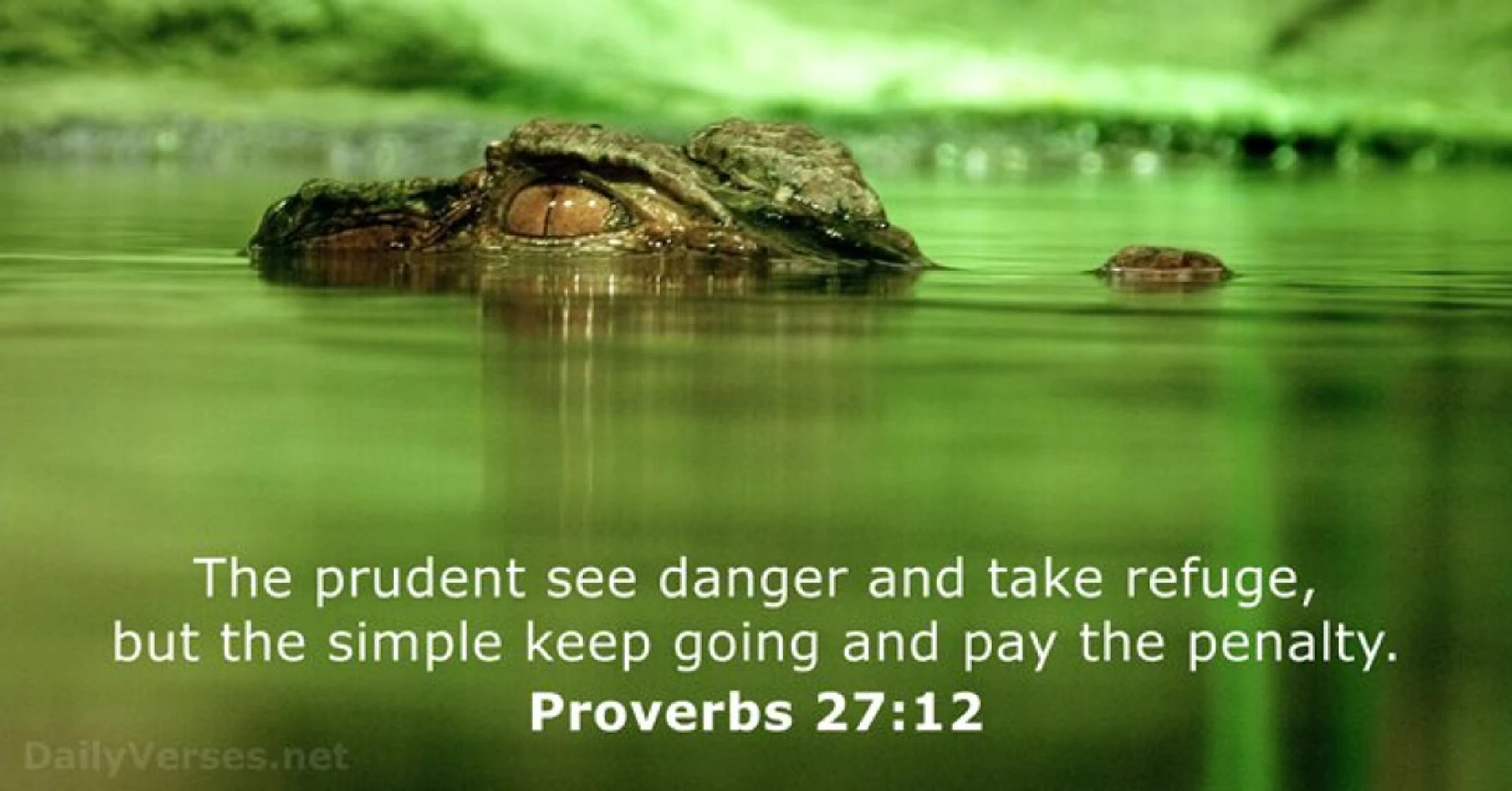Verse of the Day - August 10