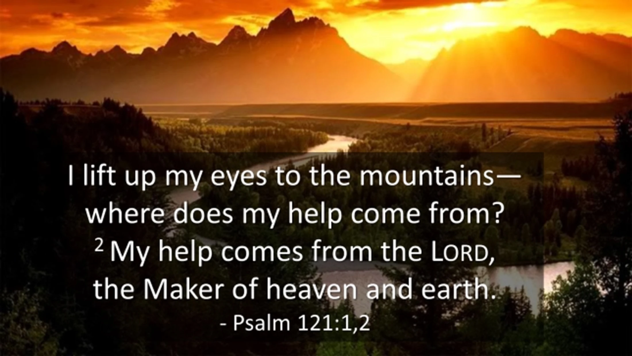 Verse of the Day - August 29
