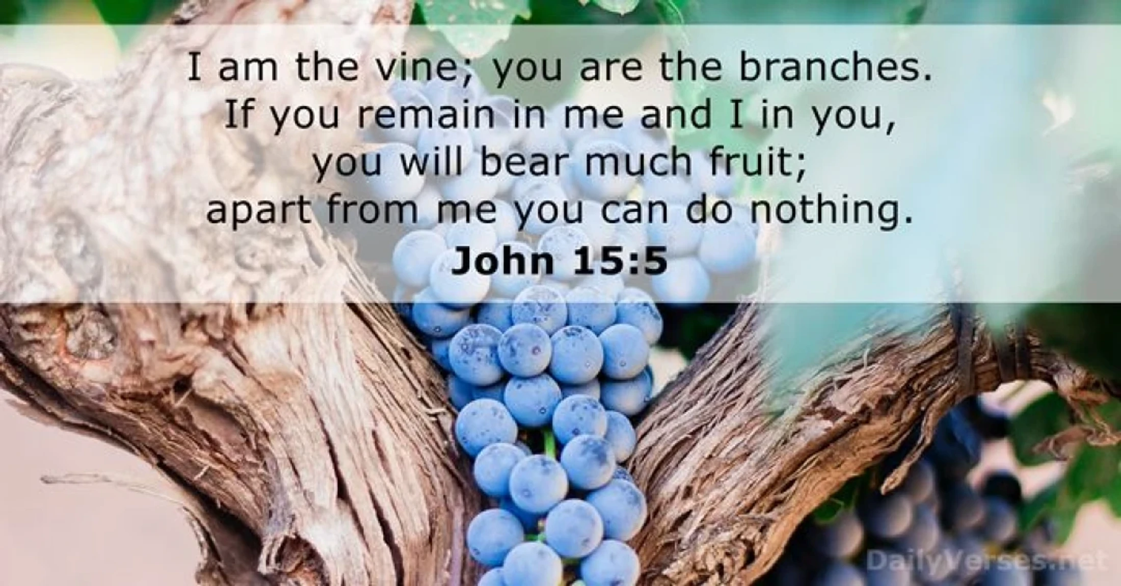 Verse of the  Day - September 11