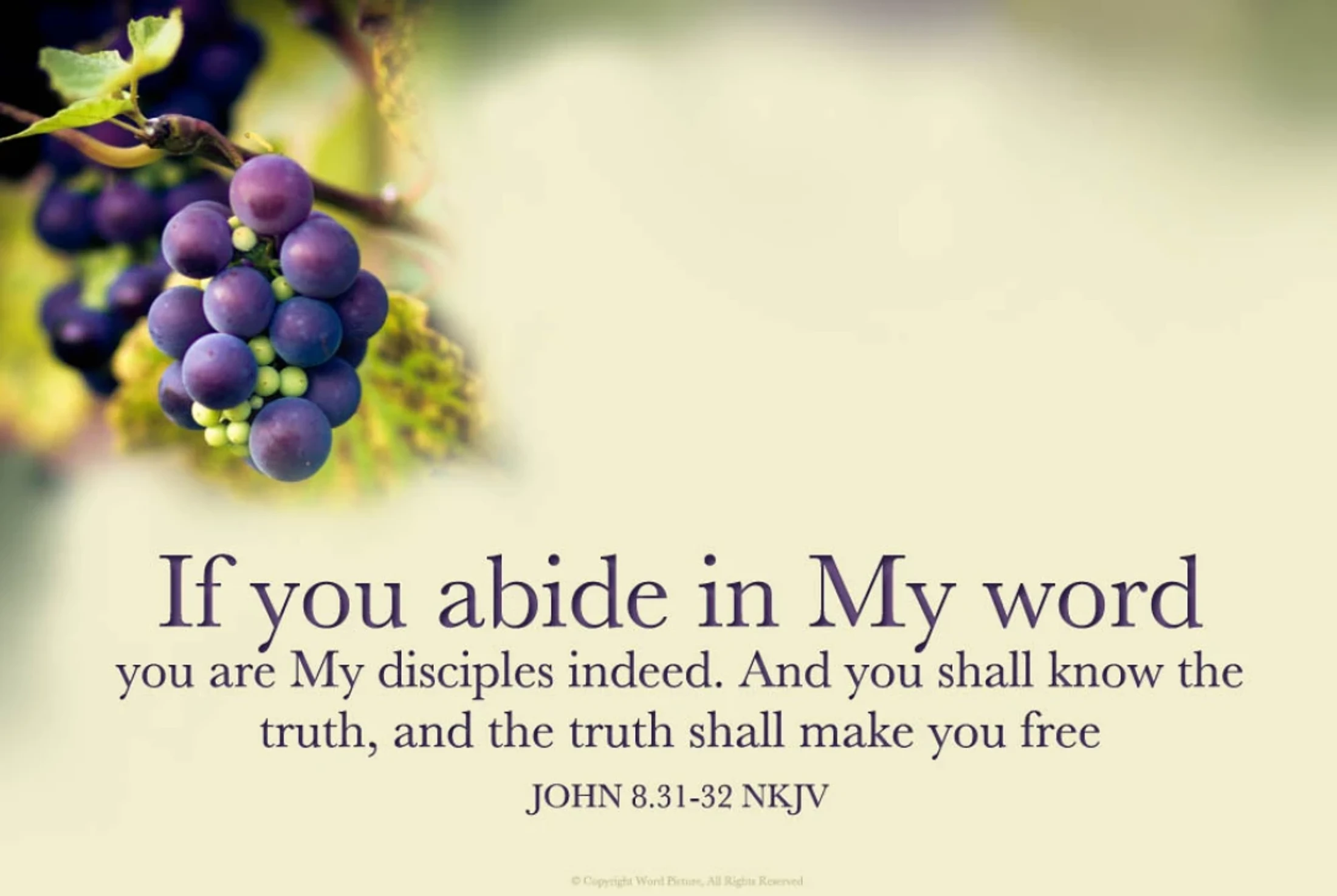 Verse of the Day - October 3