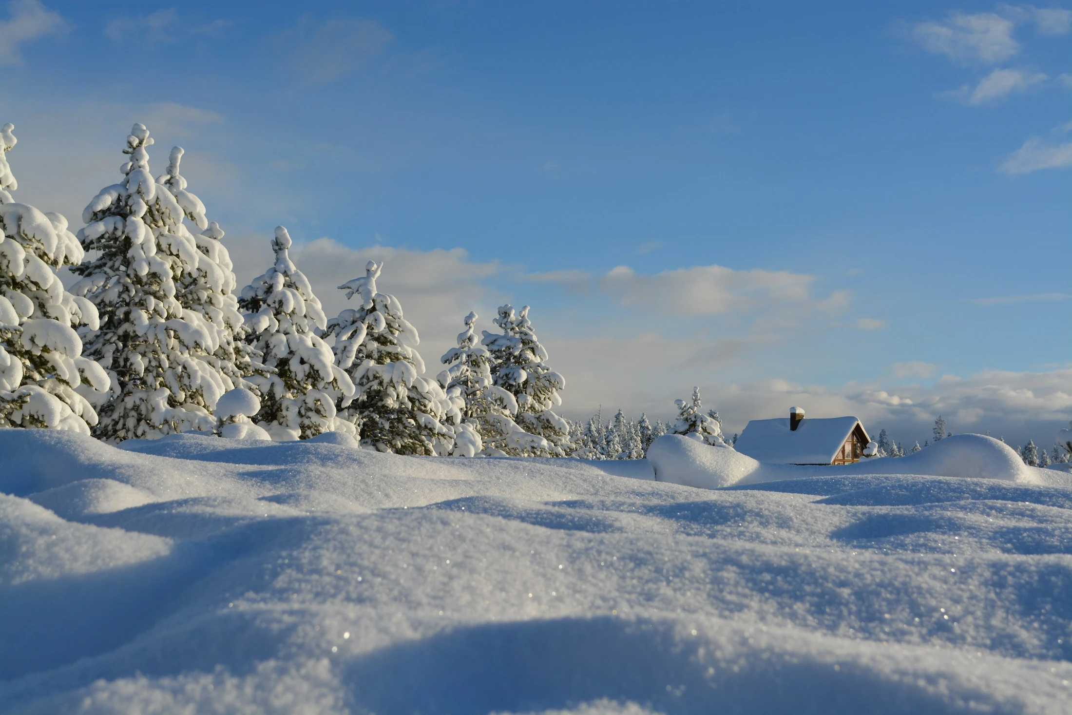 Snow!