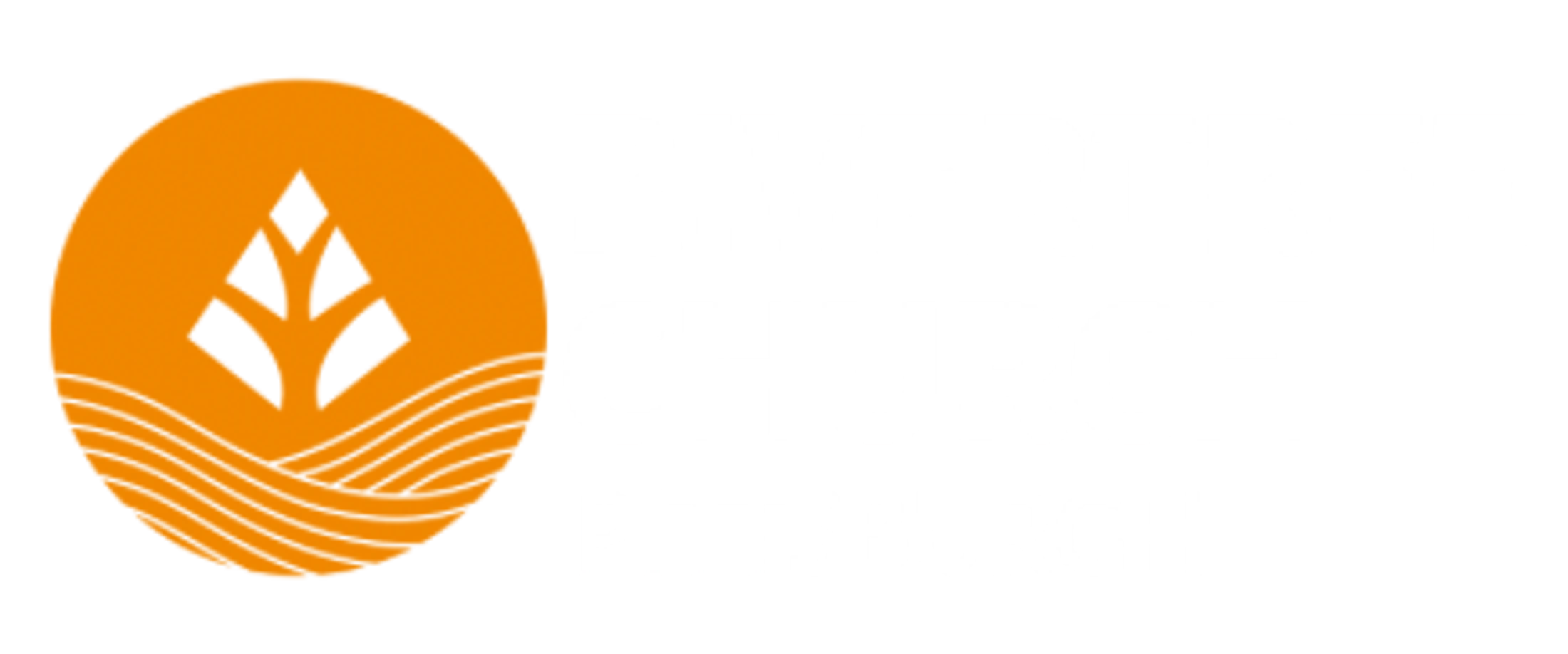 Main Logo