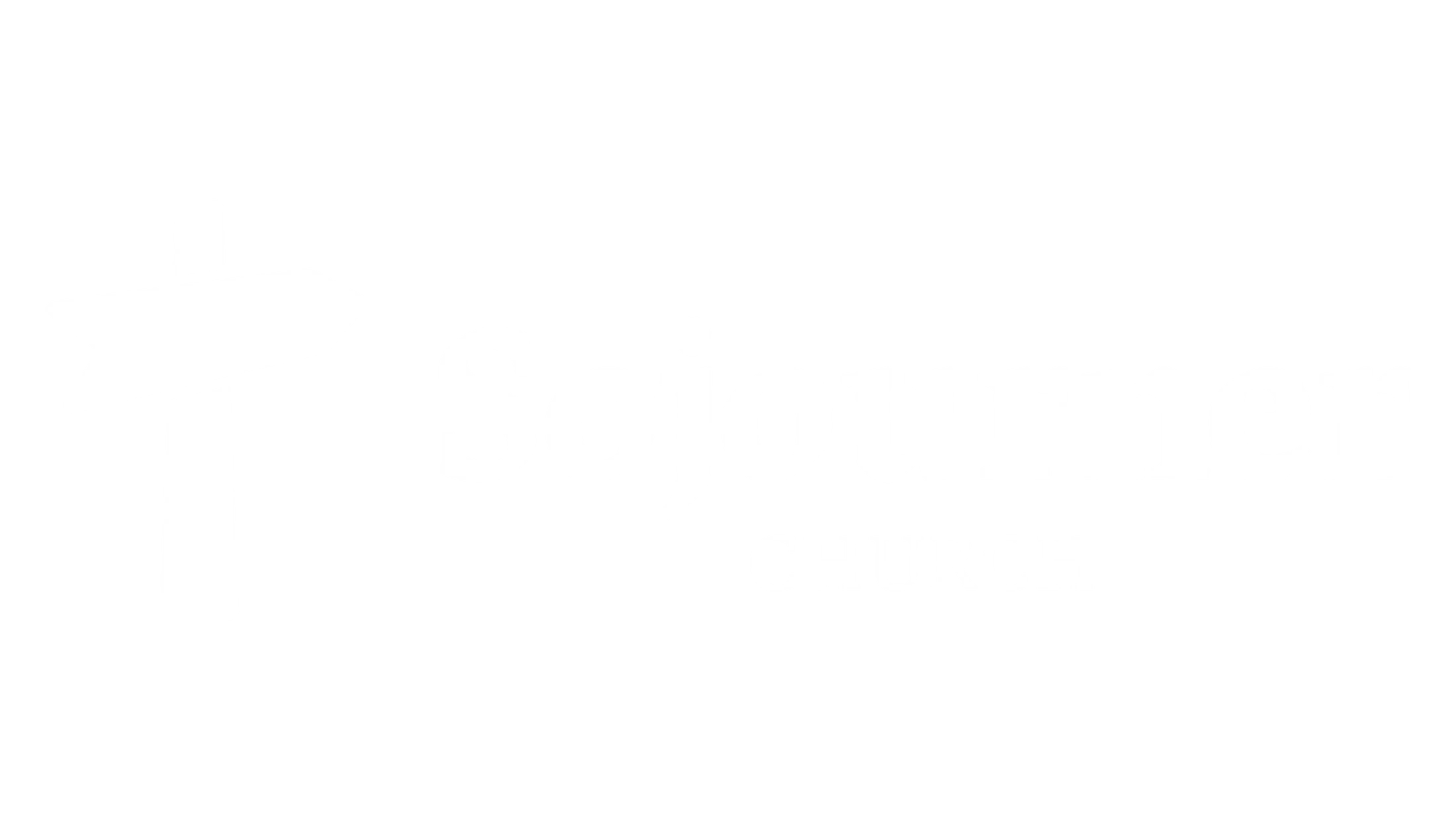 Main Logo
