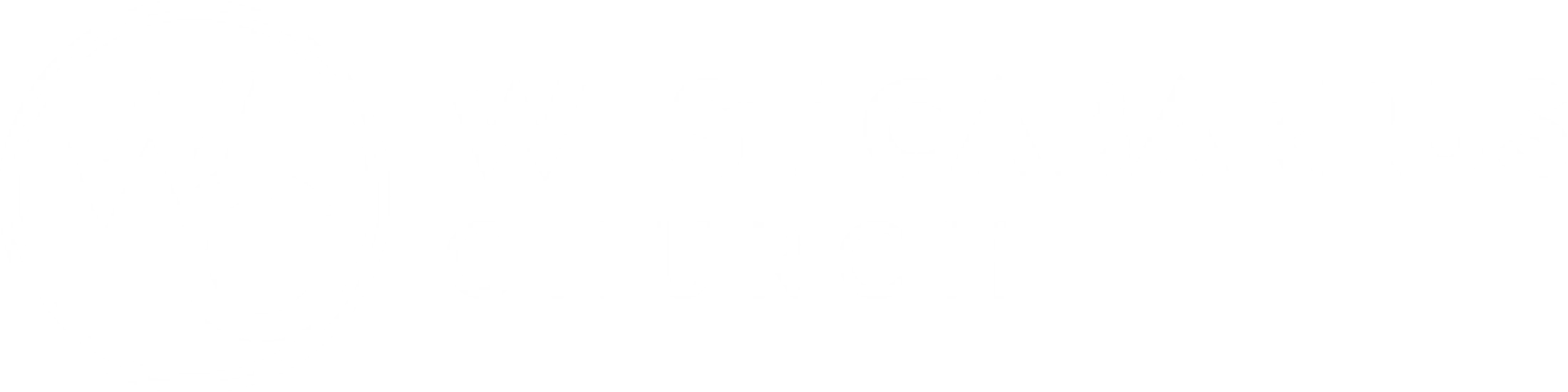 Main Logo