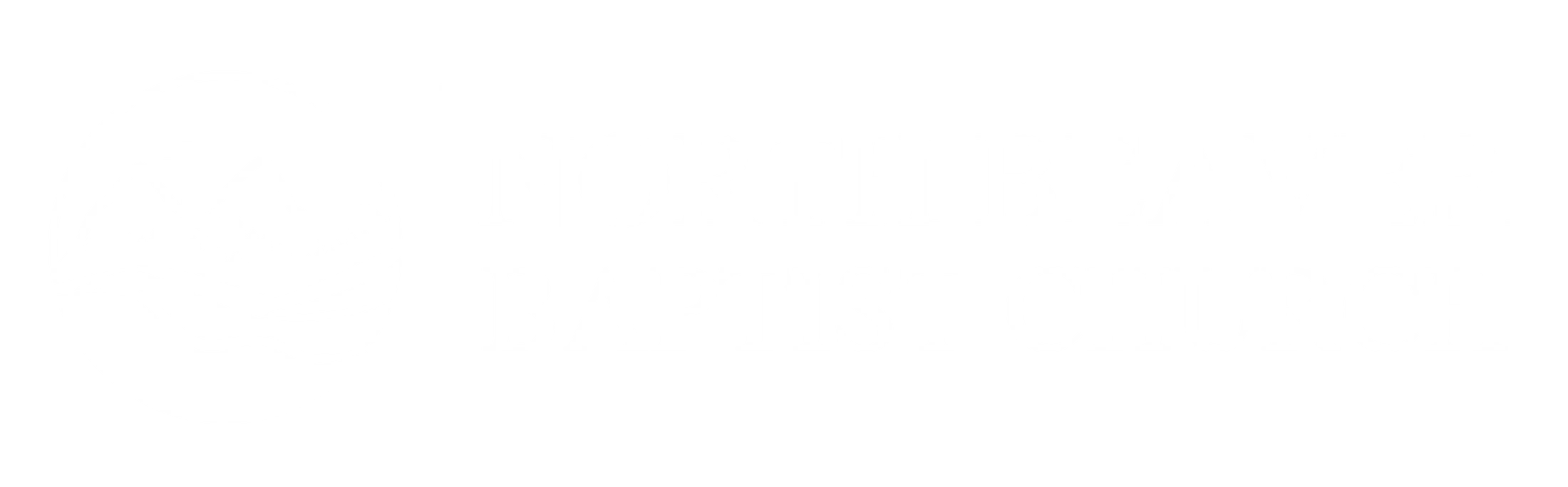 Main Logo