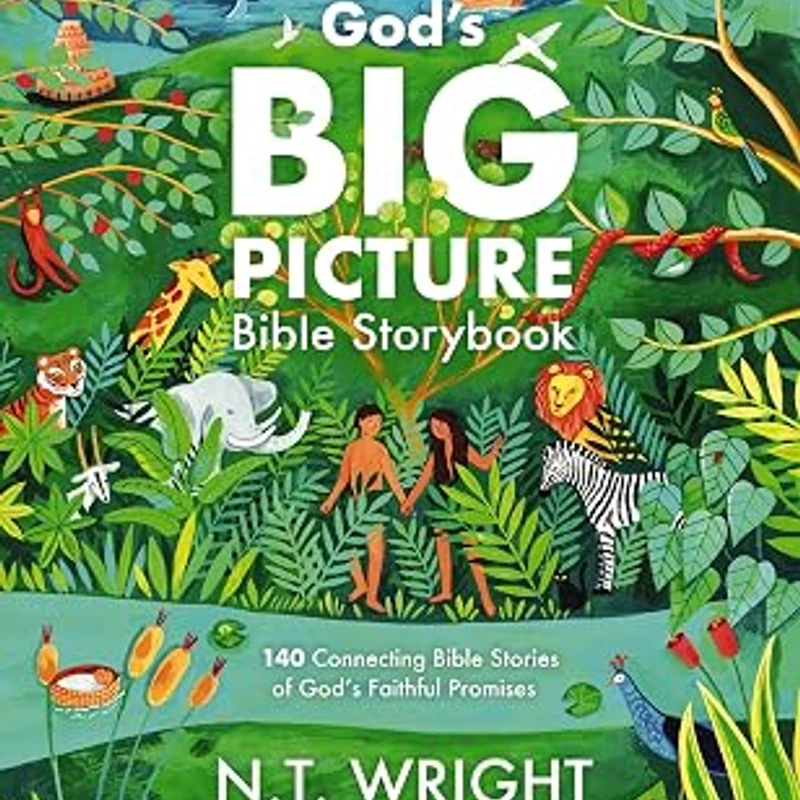 God’s Big Picture Bible Storybook