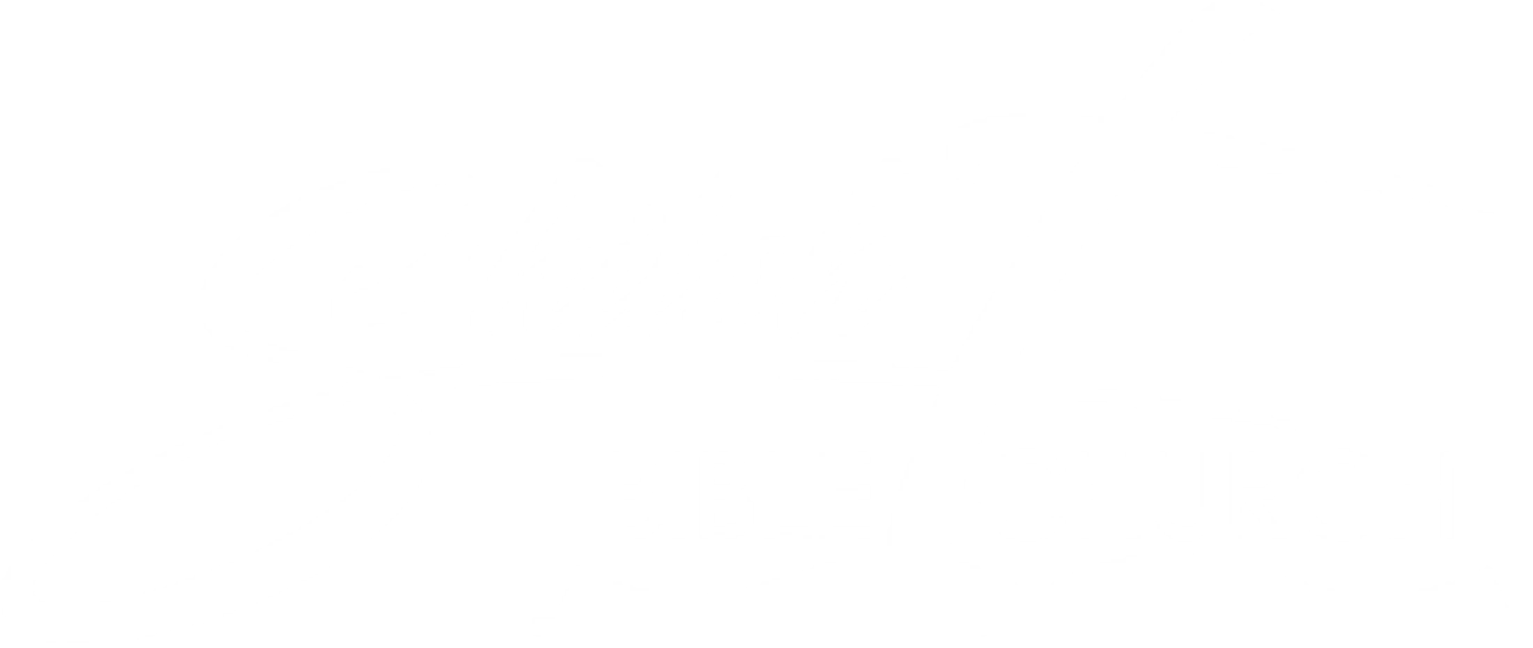 Main Logo