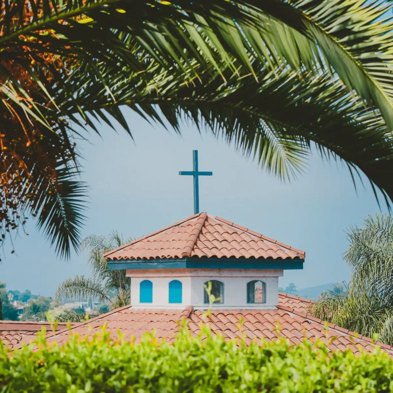 A church steeple with a terracotta tile roof and a cross is framed by a large palm frond from above and green bushes from below against a clear sky.