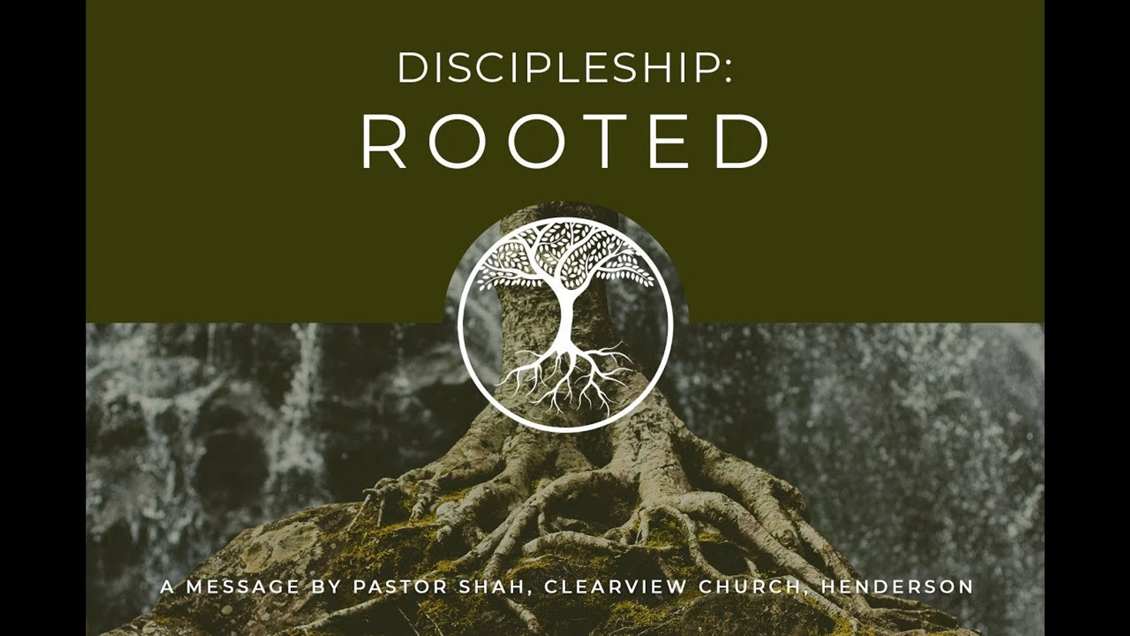 Discipleship: Rooted