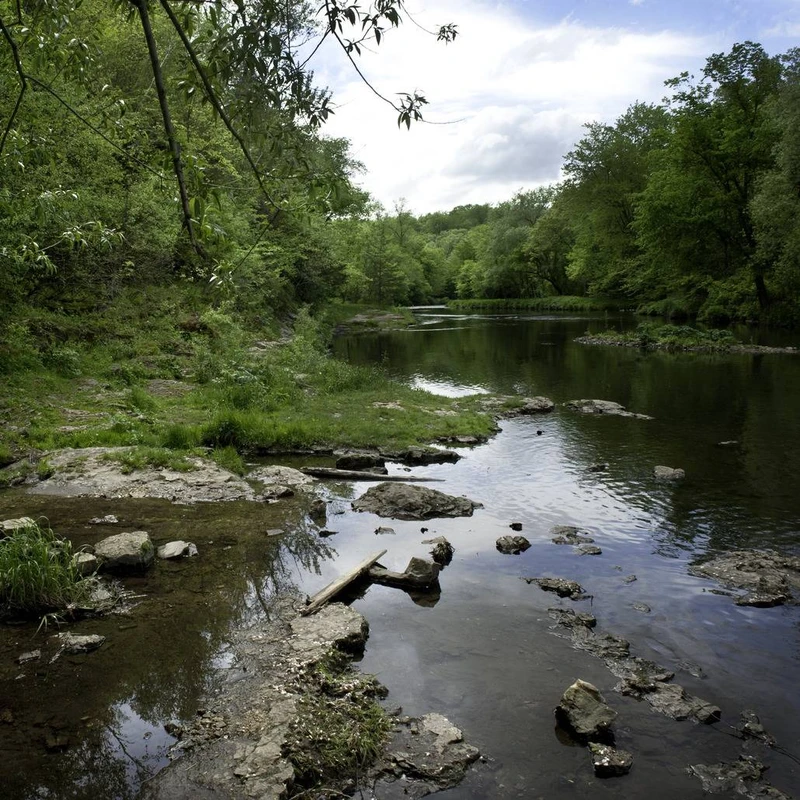 A gentle river curves through a lush, green forest. The near bank is grassy and rocky, with still water reflecting the partly cloudy sky and overhanging trees.