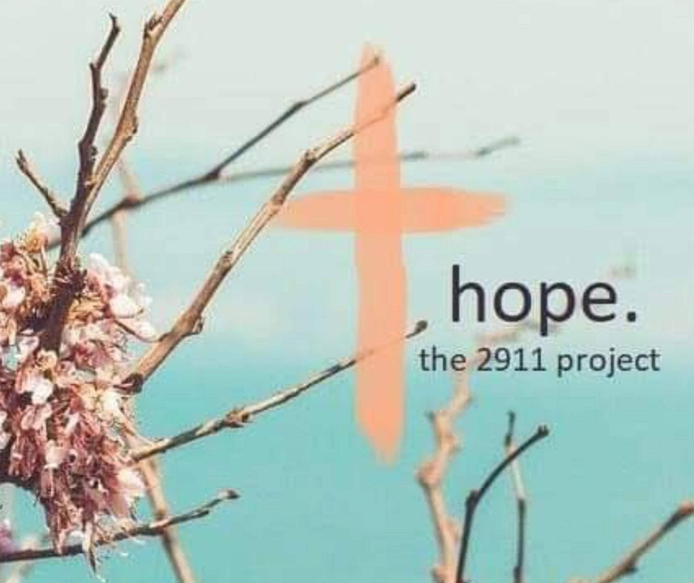 Flowering branches against a blue sky with an orange cross and the text 'hope. the 2911 project'.