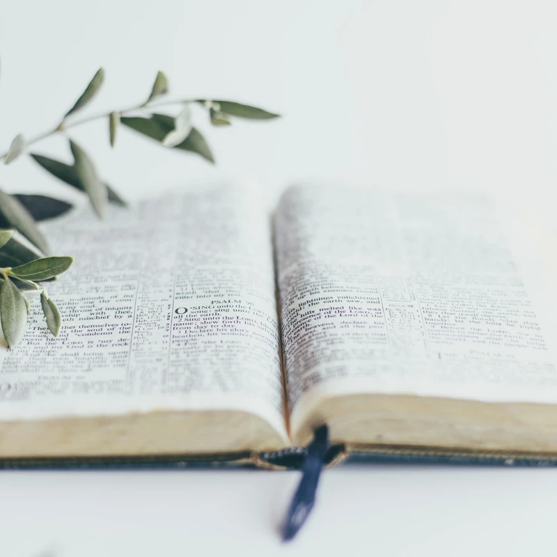 green plant on white book page