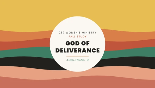 <span style="line-height: 1.2rem;">267 WOMEN'S MINISTRY&nbsp;</span>