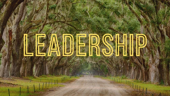 Become a Leader