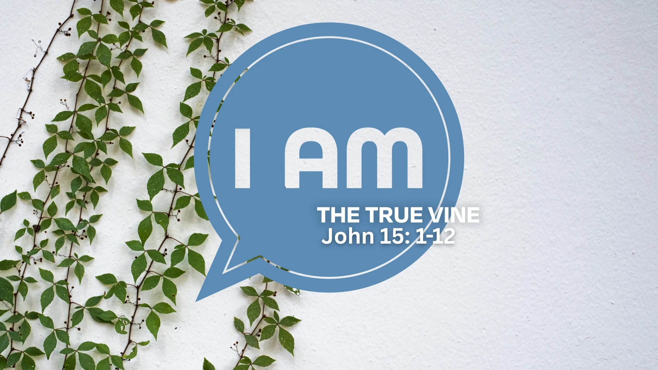 I AM The True Vine
