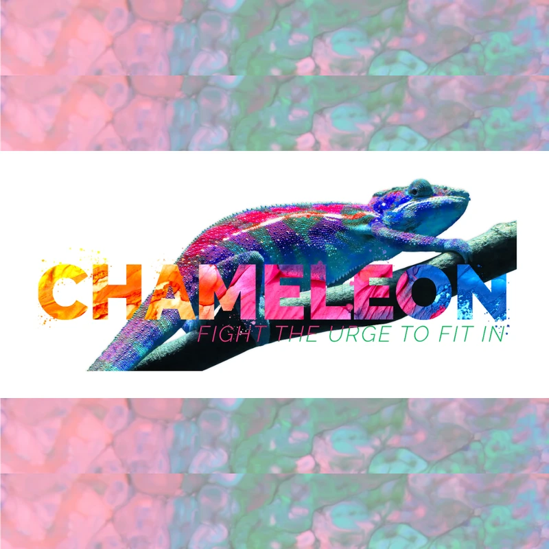 Chameleon (Coming Soon)