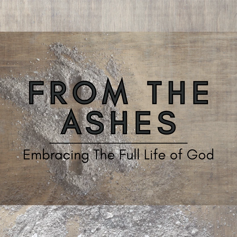 From The Ashes