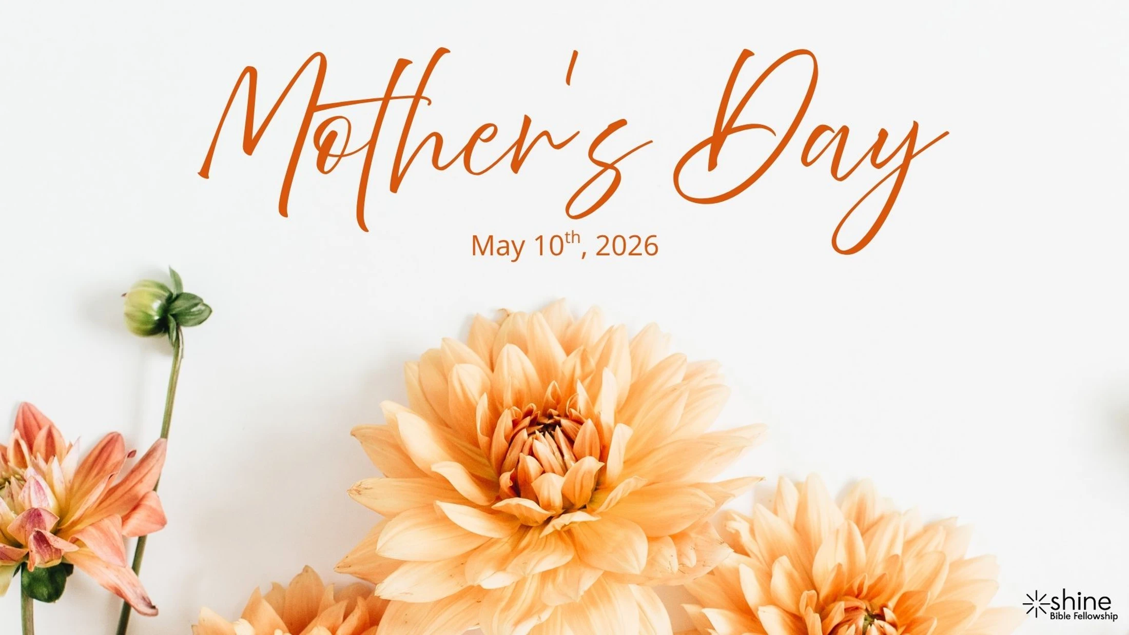 Mother's Day at Shine